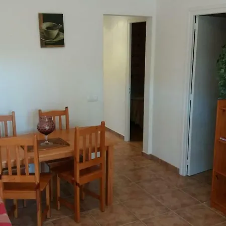 Apartamentos Les Palmeres Castell-Castell-Platja d'Aro Buitenkant foto